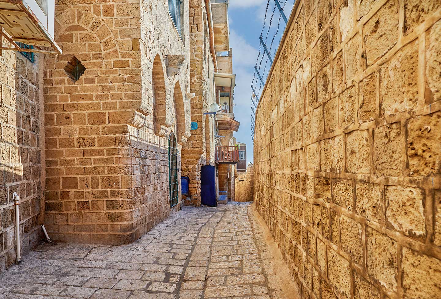 single-home-0002 Executive house with garden
